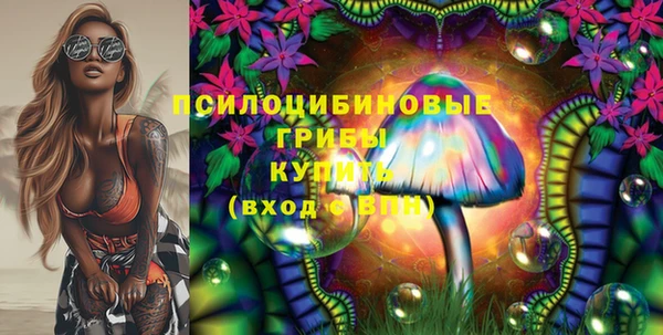 мескалин Пестово