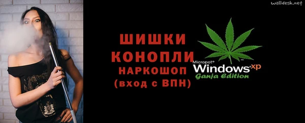 крисы Армянск