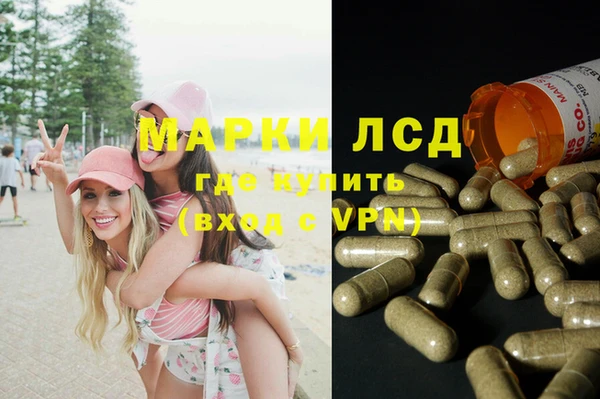 крисы Армянск