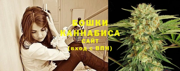 крисы Армянск